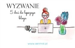 Wyzwanie-blogowe_baner_250