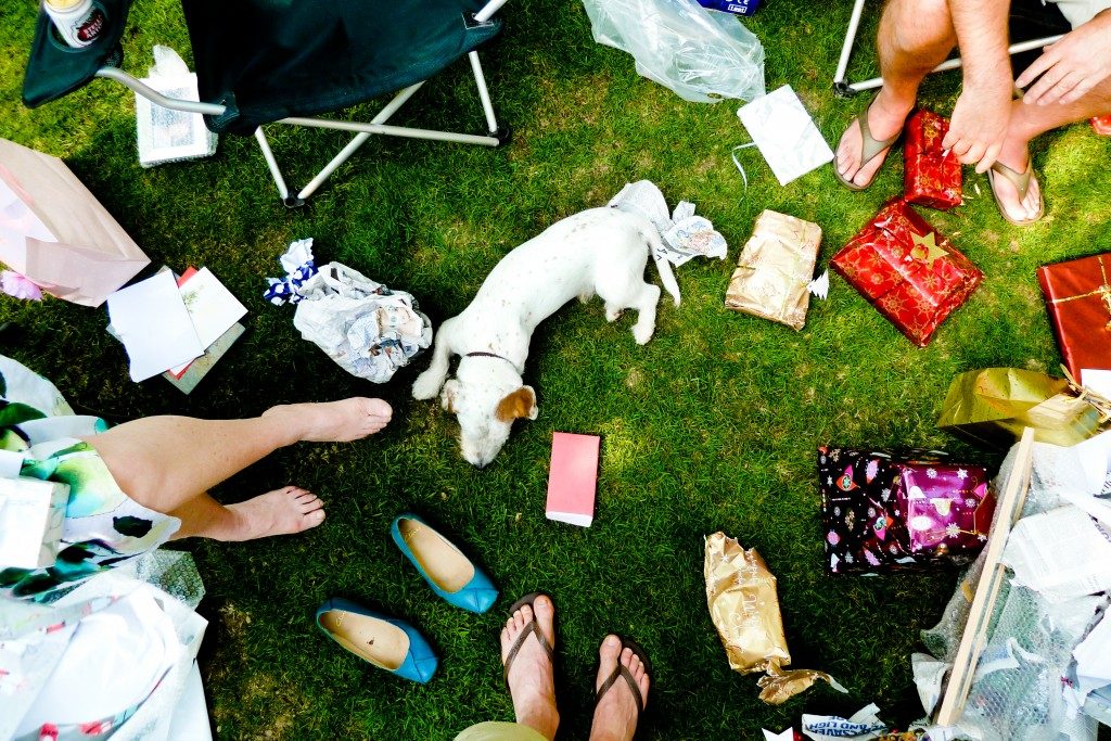 dog-playing-with-wrapping-paper-in-garden-1024x683