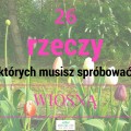 http://www.antosiewicz.edu.pl/wiosna-i-wiosenna-skrzynka-przyjemnosci/