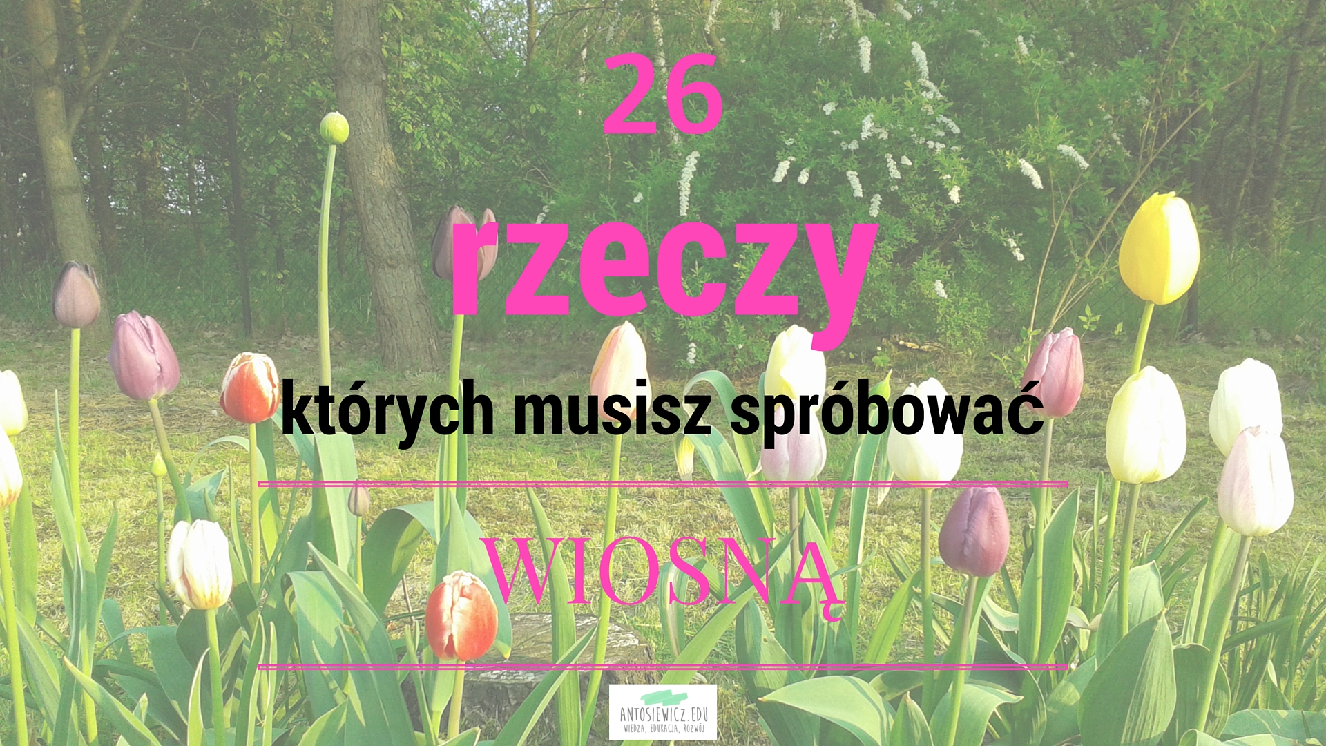 http://www.antosiewicz.edu.pl/wiosna-i-wiosenna-skrzynka-przyjemnosci/